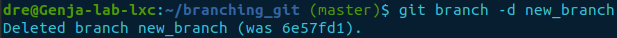 git branch -d