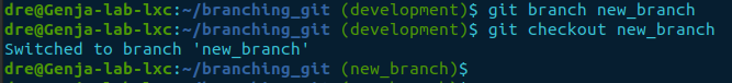 git branch then checkout