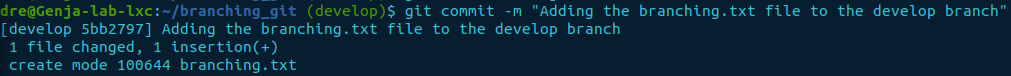 git commit - branch develop