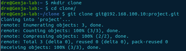 git clone