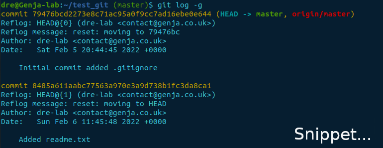 git log -g snippet