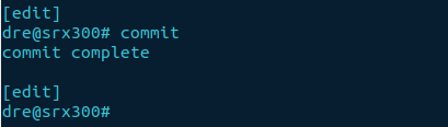 commit success.png