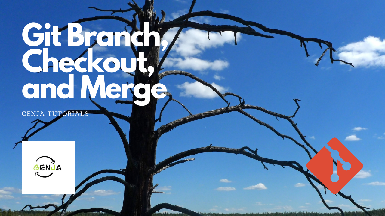 Git Branch, Checkout, and Merge