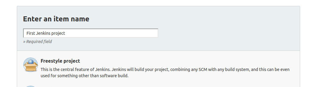 Jenkins freestyle project