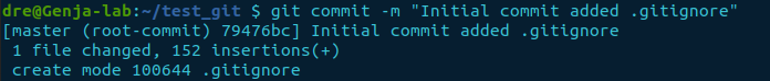 git commit with message