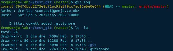 git log initial --hard.png