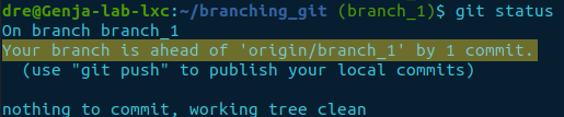 git status - tracking branch